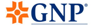 gnp